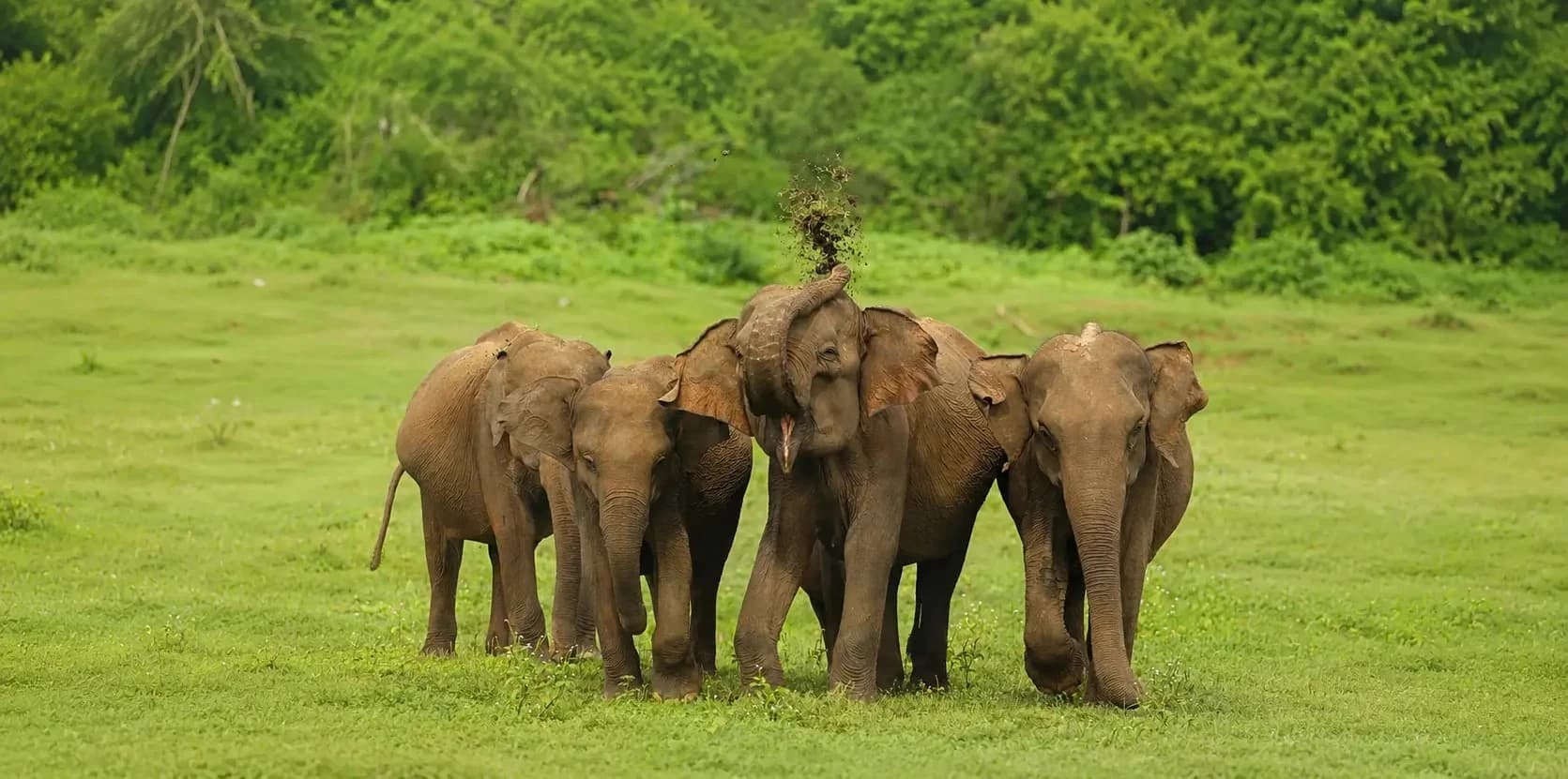 Sri Lanka