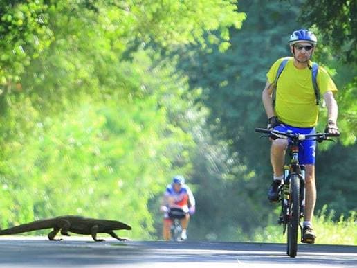 14 Days Ultimate Cycling Tour in Sri Lanka gallery 5