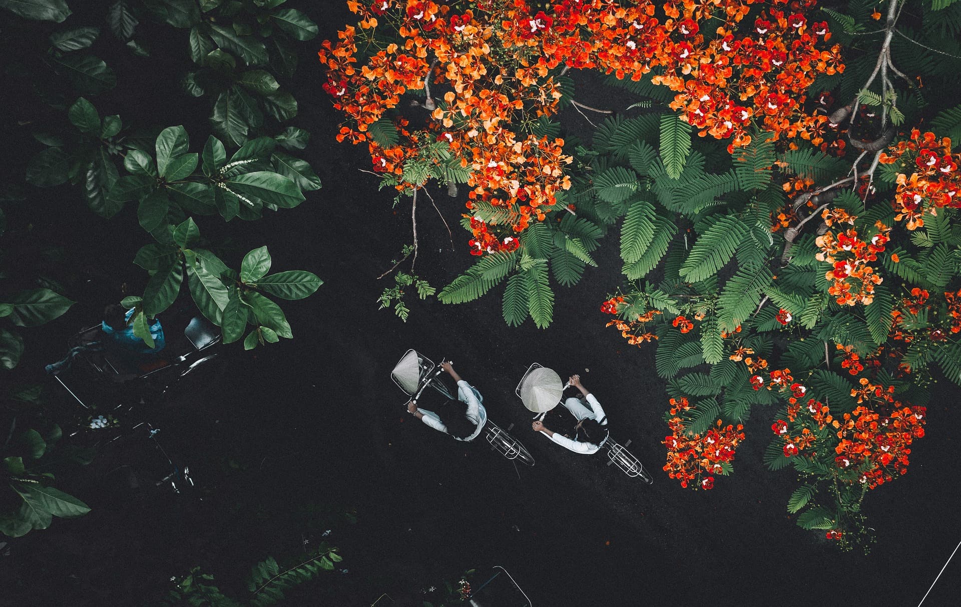 4 Days of Hanoi Highlights gallery 7