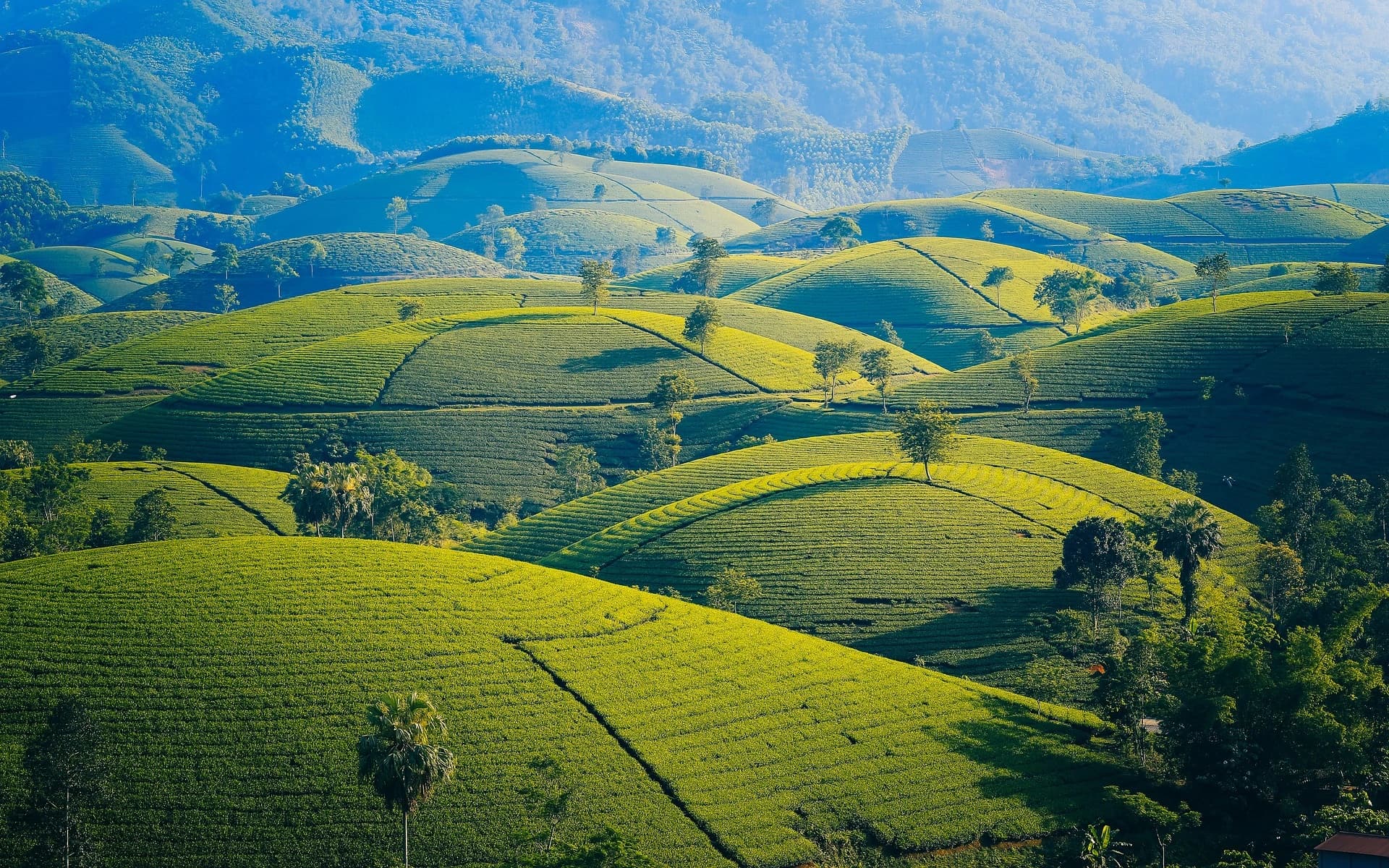 Essence of Vietnam in 7 Days gallery 4