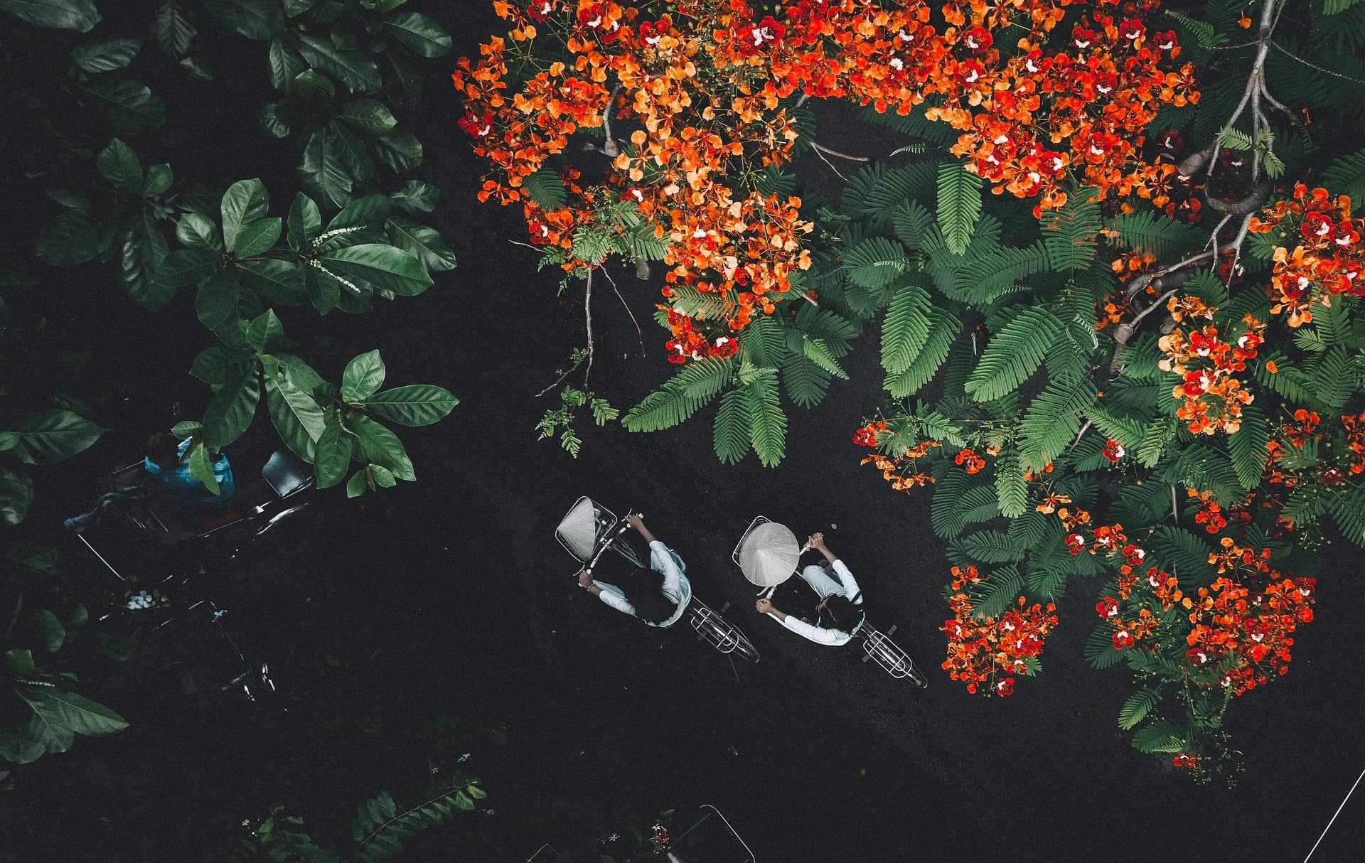 Essence of Vietnam in 7 Days gallery 7