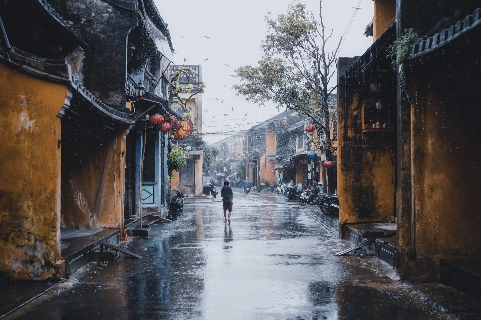 10 Days Through Vietnam's Wonders gallery 3