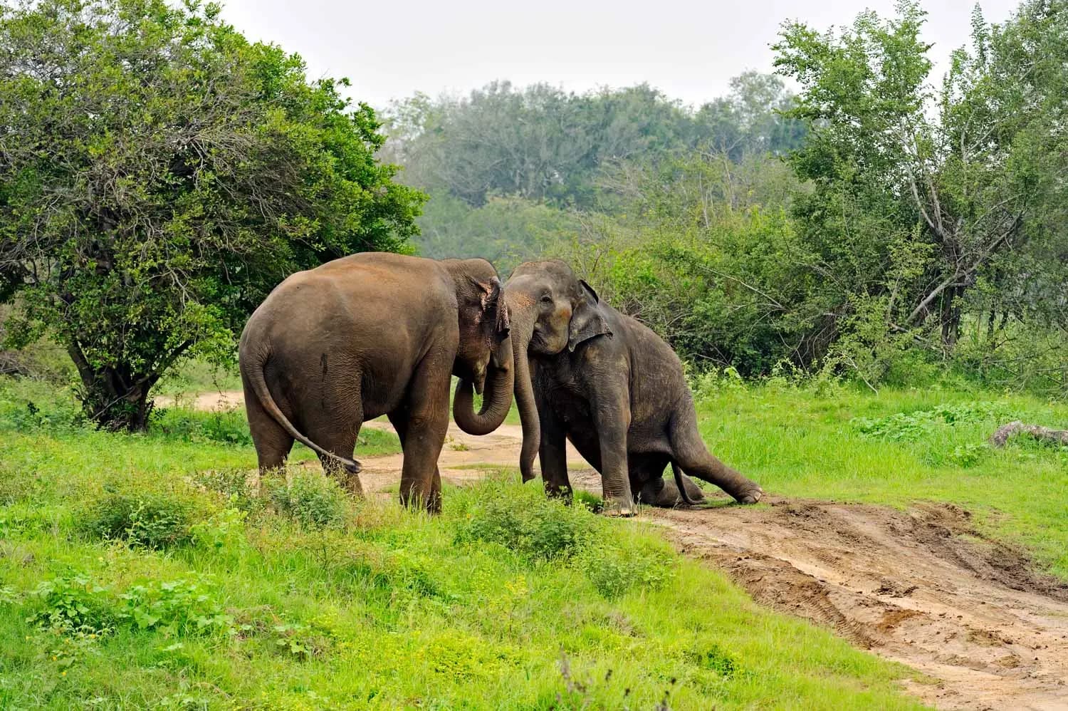 Exhilarating 11 Days Expedition gallery 8