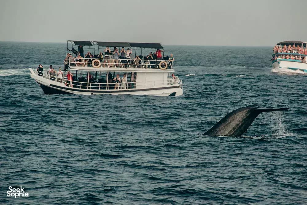 Exhilarating 11 Days Expedition gallery 14