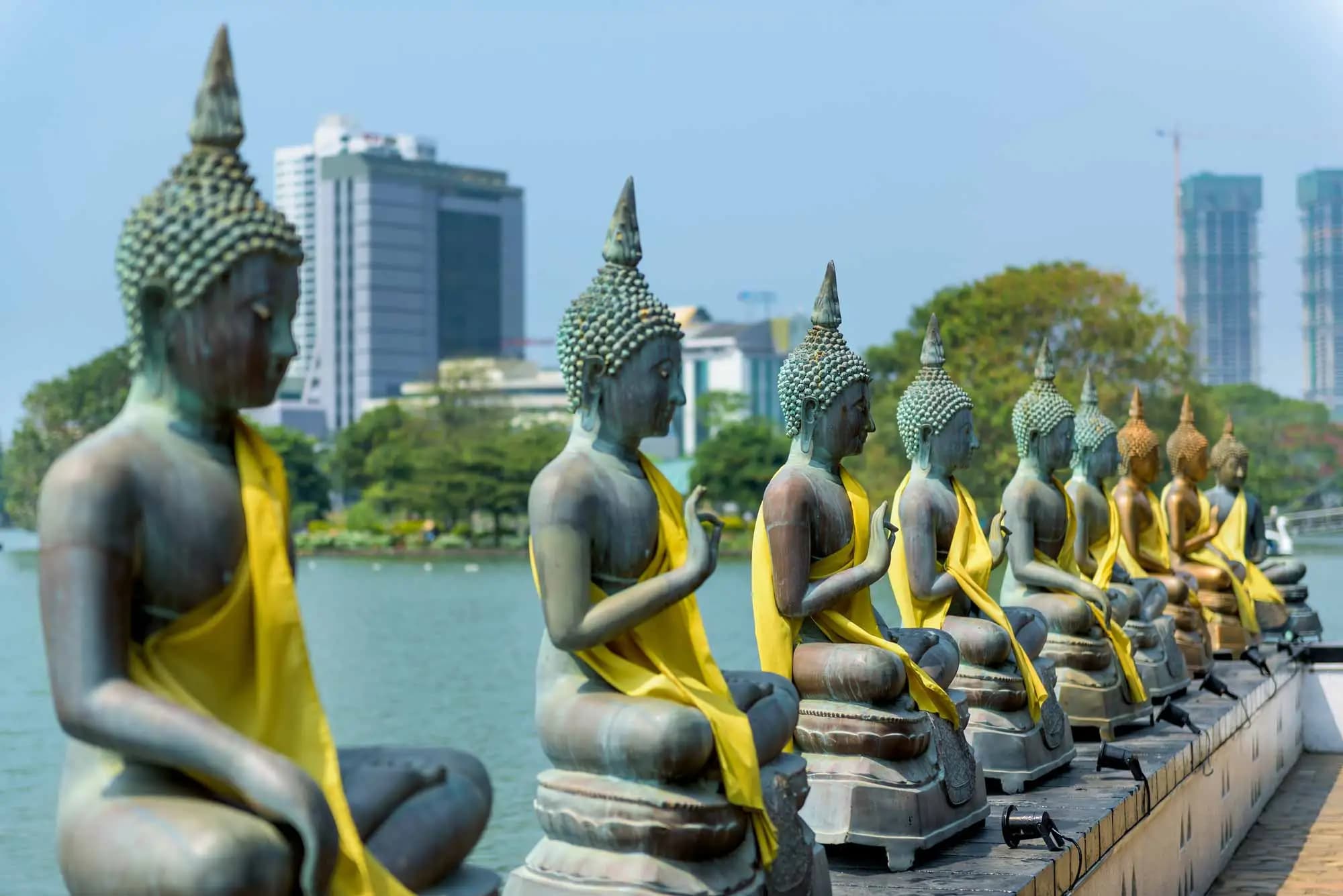 Explore Nothern Sri Lanka in 10 Days gallery 11