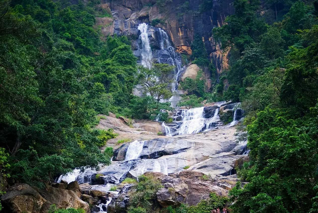 Honeymoon Getaway Sri Lanka 10 Days Tour Package gallery 11
