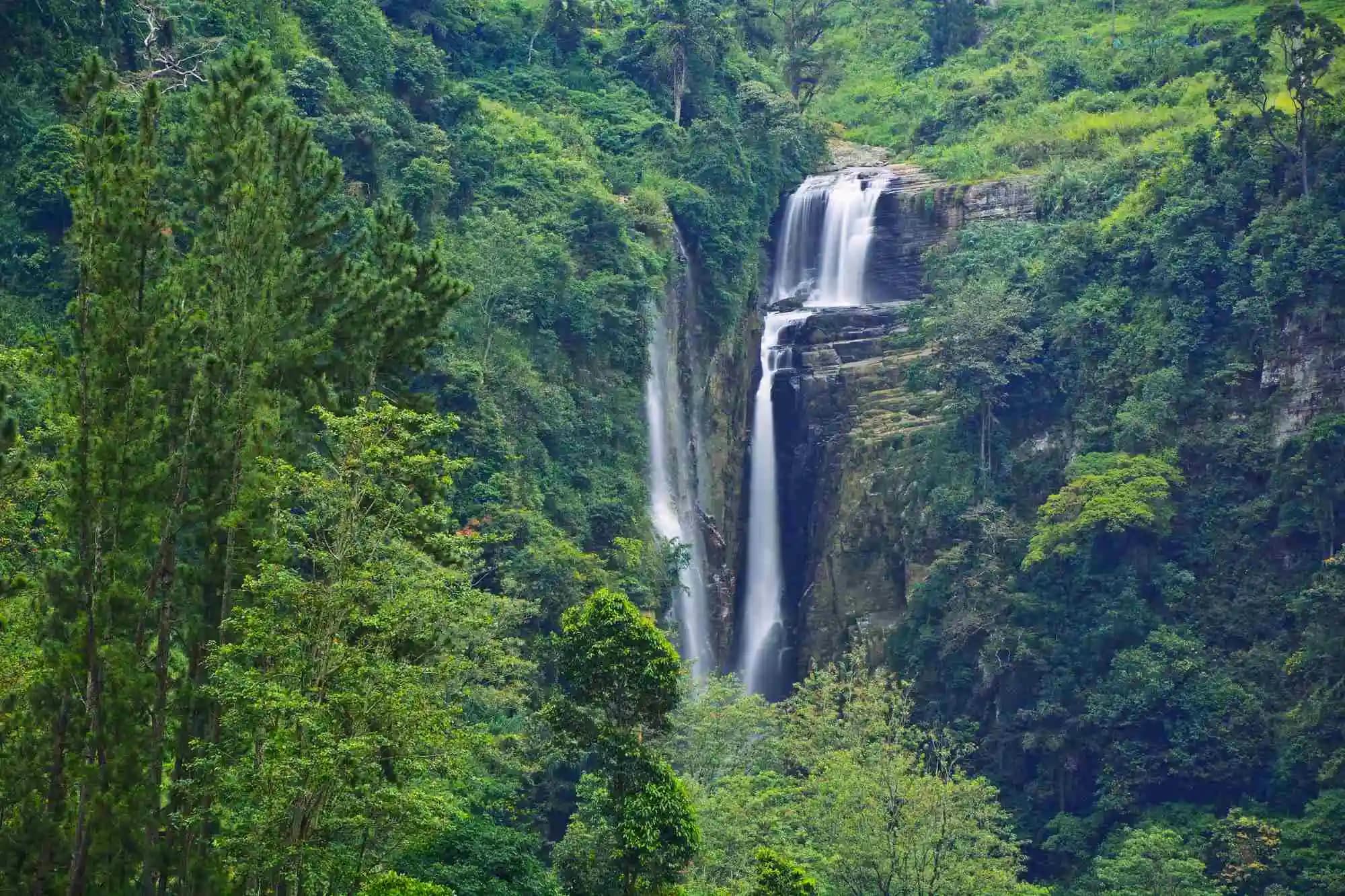 Magical Sri Lanka In 9 Days gallery 9