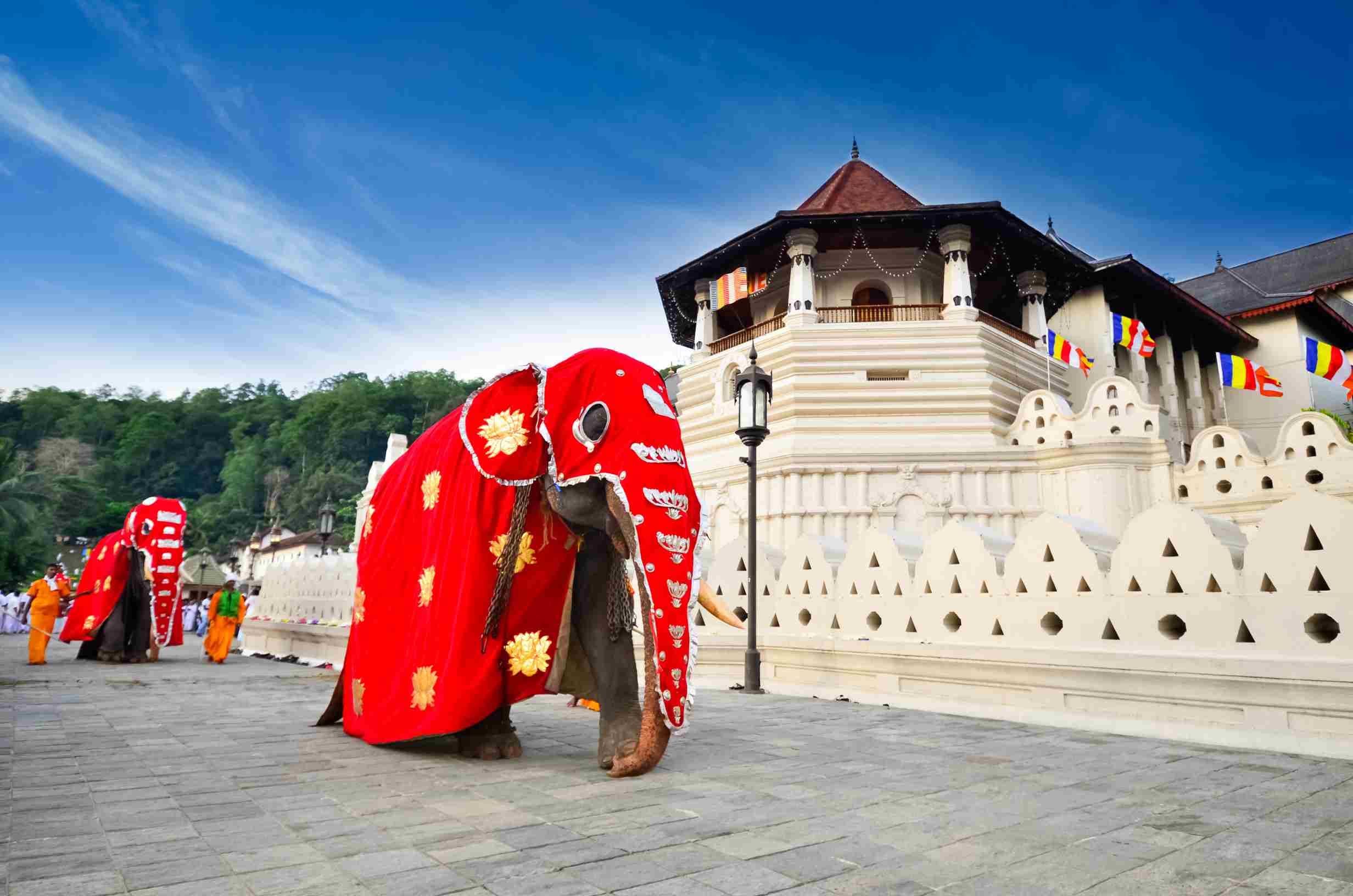 Unveil Beautiful Sri Lanka in 3 Days gallery 7